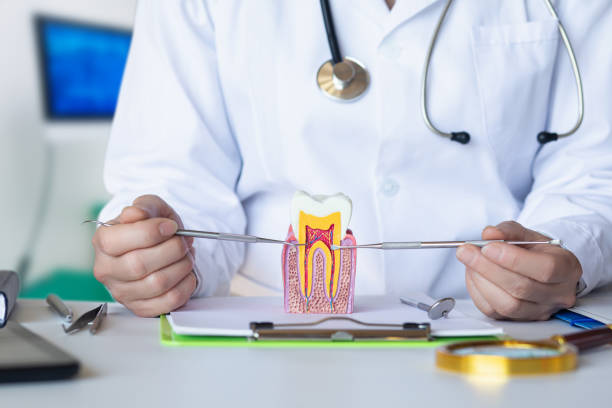 Best Weekend Emergency Dentist in Girard, KS